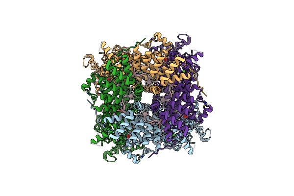 8GVW image