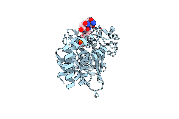 8GWH image