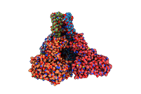 8GWO image