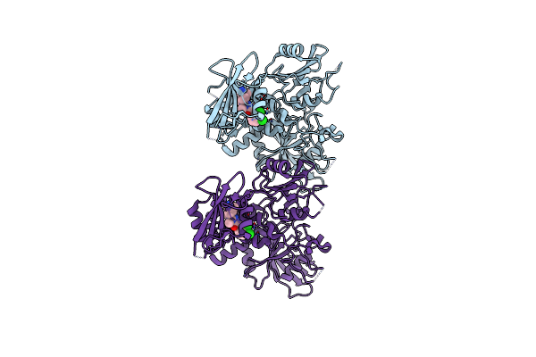 8GWW image