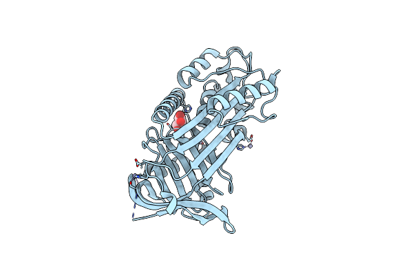 8GXV image