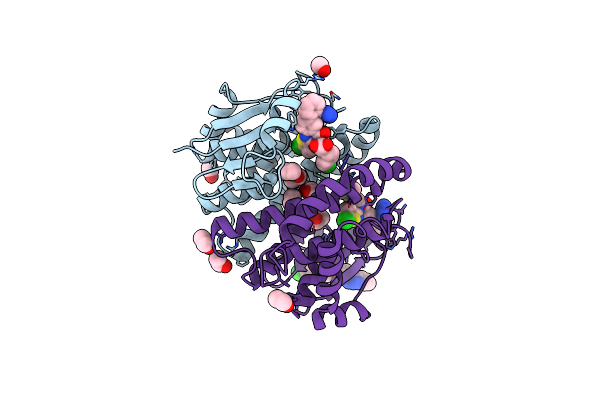 8GYD image