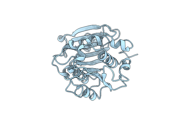 8GZD image