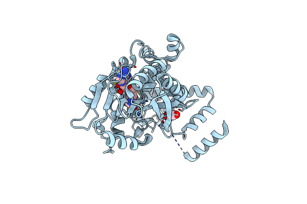 8GZI image