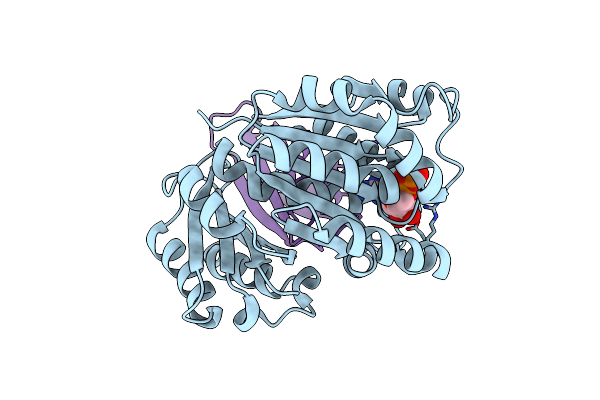 8GZV image