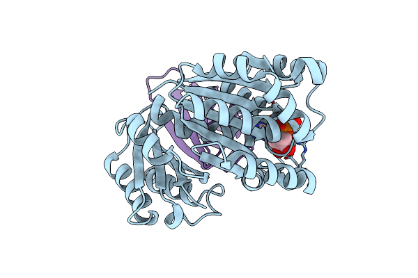 8GZX image