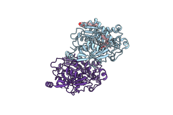 8H0B image