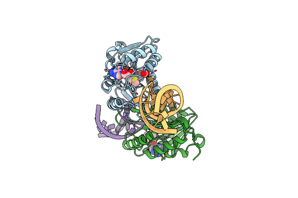 8H1B image