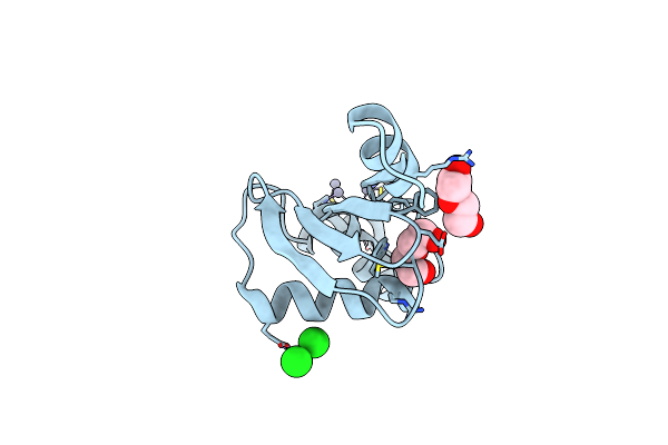 8H1F image