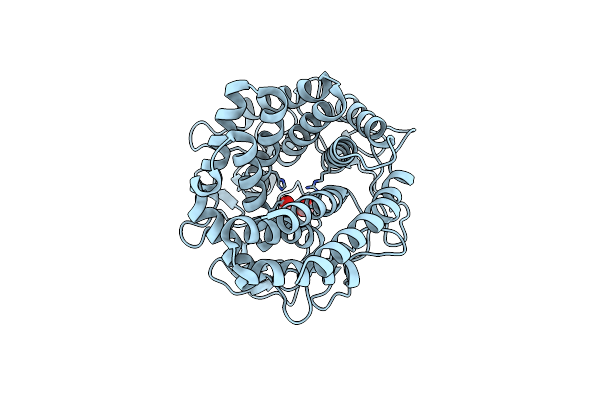 8H1M image