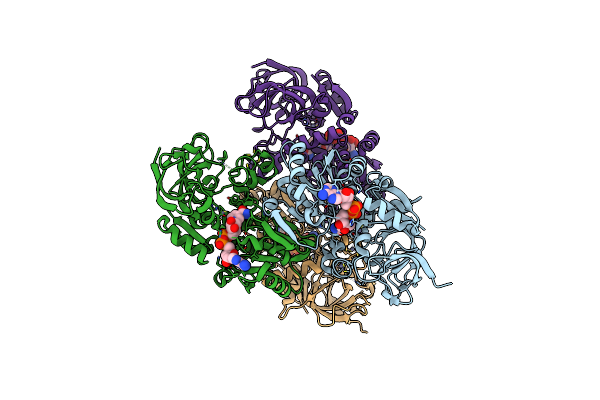 8H2B image