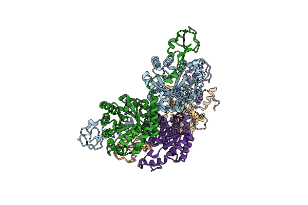 8H2C image