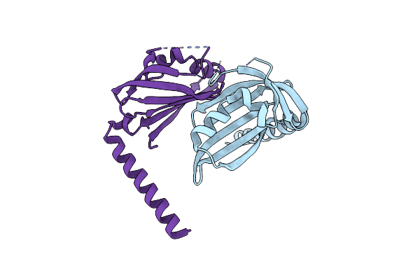 8H2D image