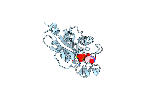 8H2F image