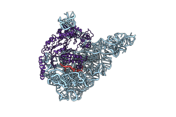 8H2H image