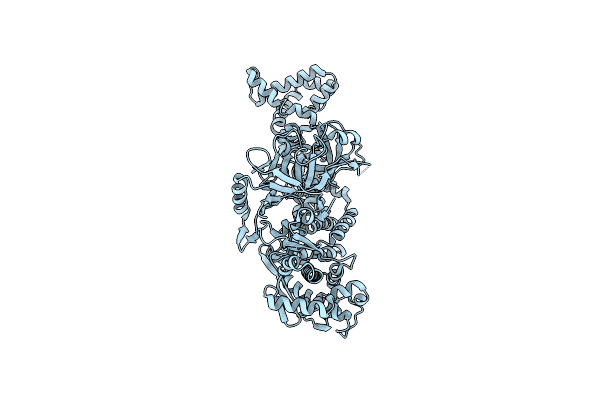 8H2M image