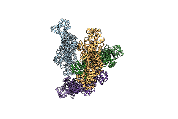 8H2N image