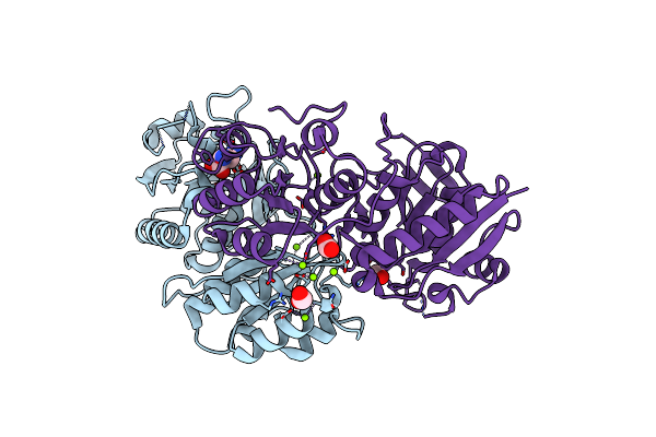 8H4B image