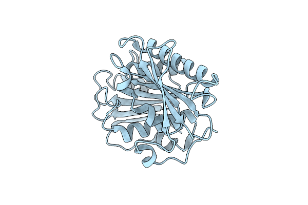 8H5K image