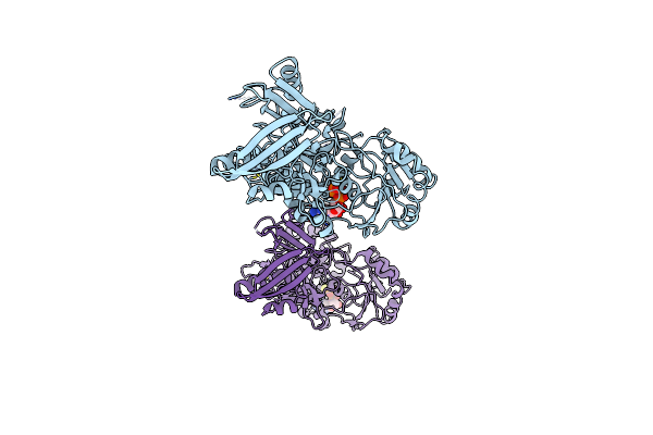 8H5Z image