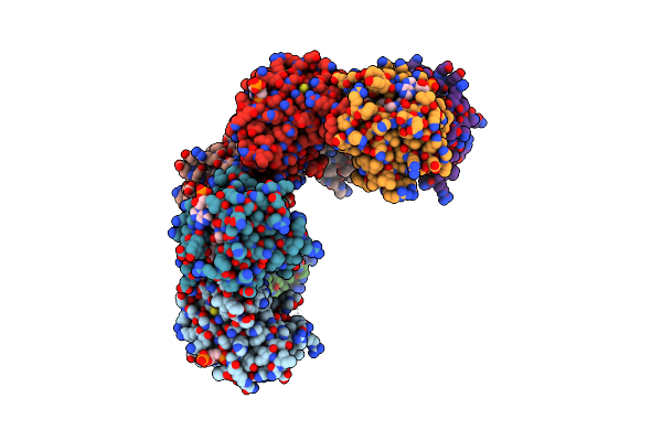 8H6D image