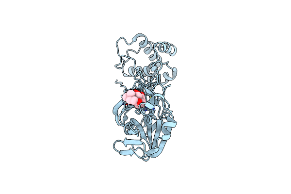 8H6I image