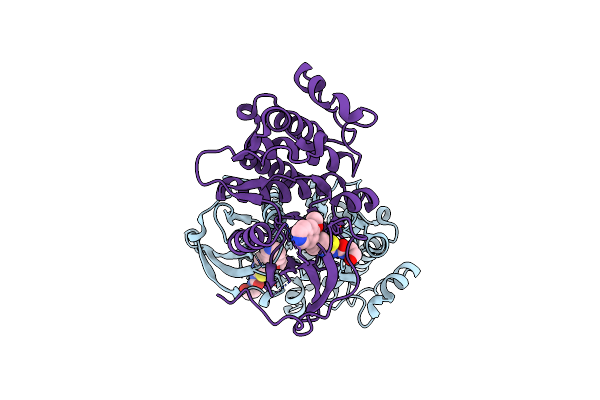 8H7F image