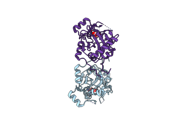 8H7V image