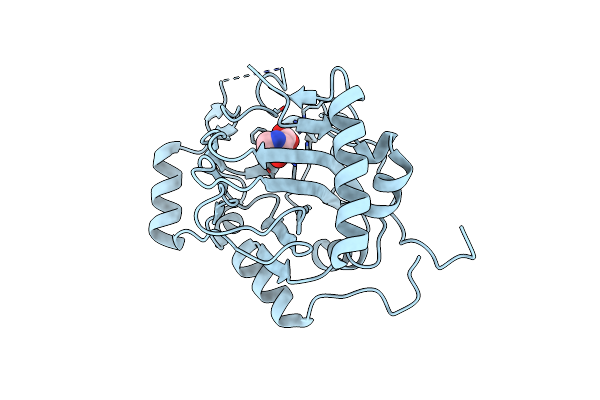 8H85 image