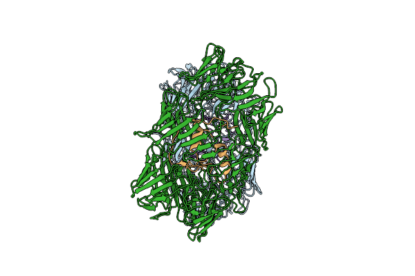 8H8C image