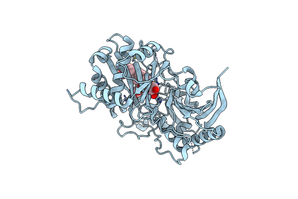 8H8I image