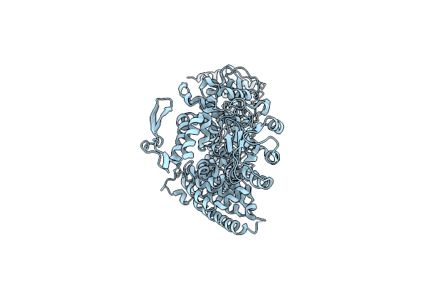 8H8X image