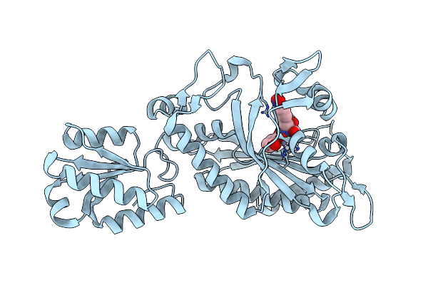8H9B image