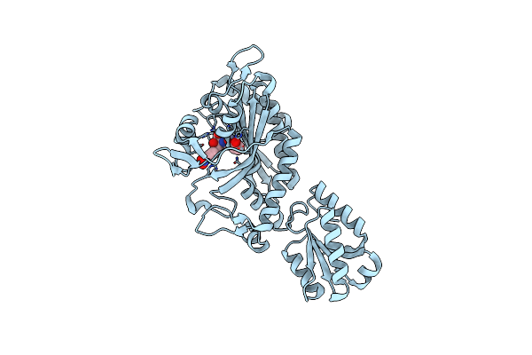8H9C image