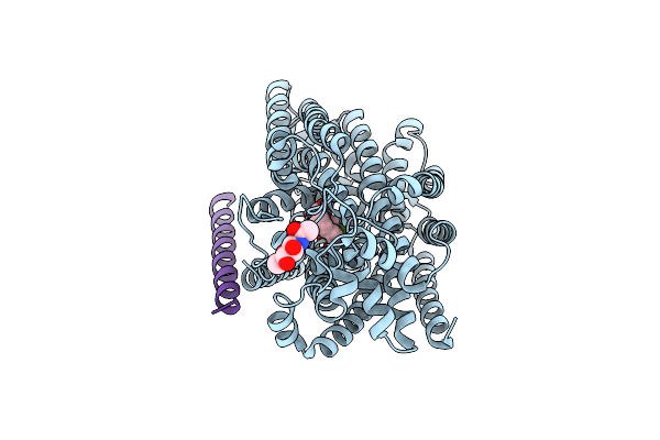 8HB0 image