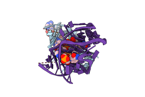8HBA image
