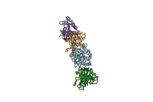 8HBB image