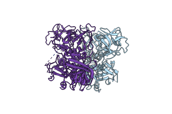 8HBC image
