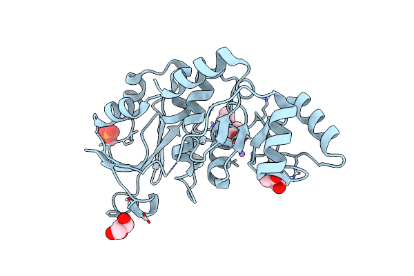 8HBL image