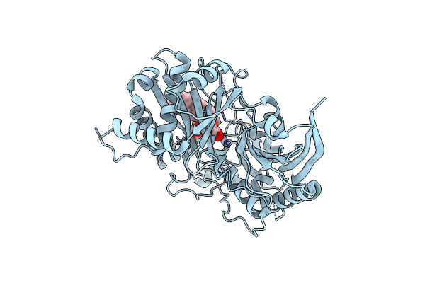 8HBT image