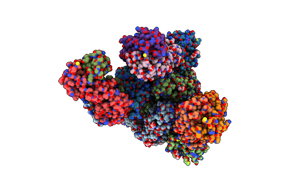8HCA image