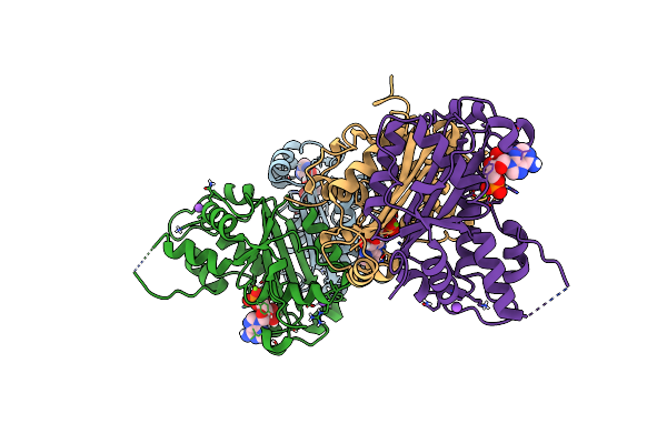 8HCC image