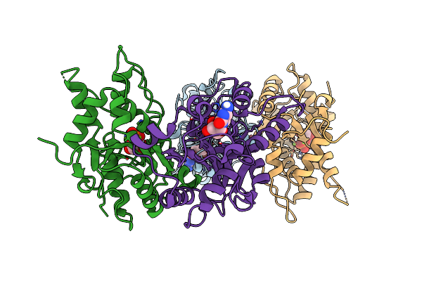 8HCD image