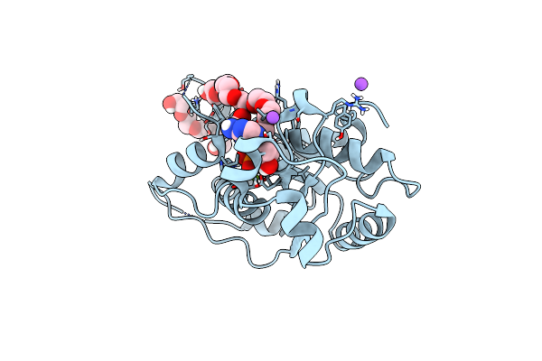 8HCG image