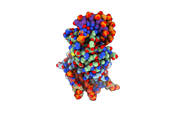 8HCL image