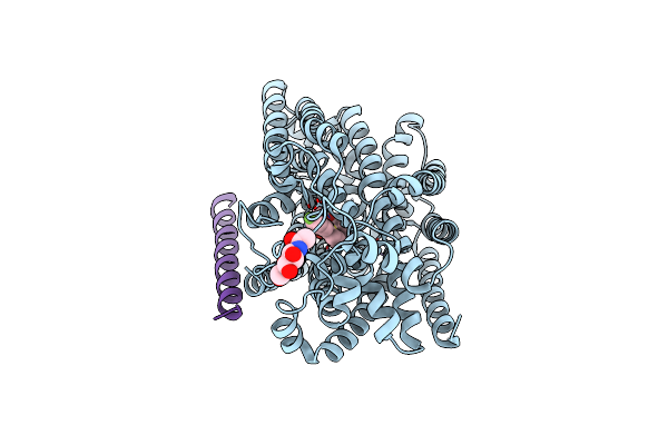 8HDH image