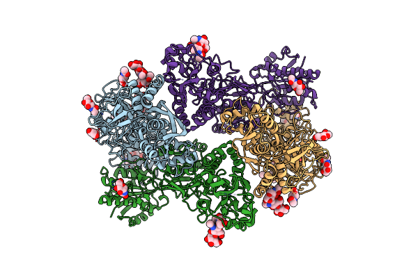 8HDK image