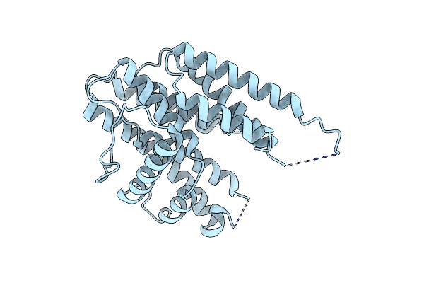 8HDL image