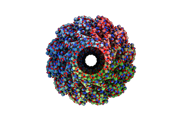 8HDS image