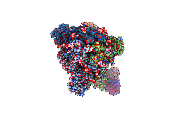 8HEC image
